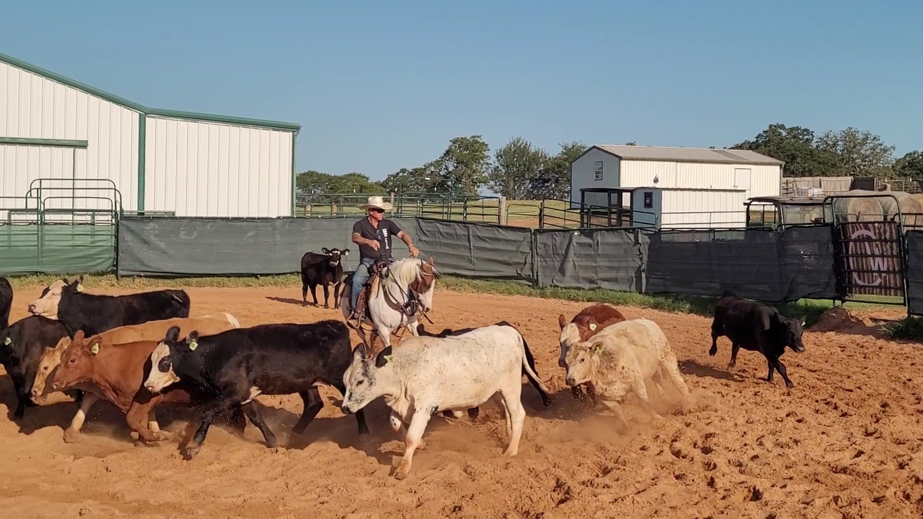 Experiences in a Two Year Old's Cutting Training that are often overlooked...