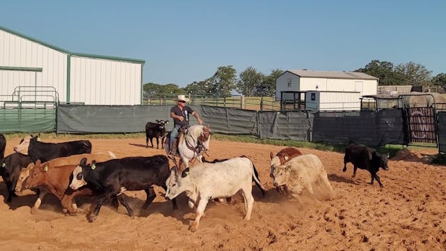 Experiences in a Two Year Old's Cutti...