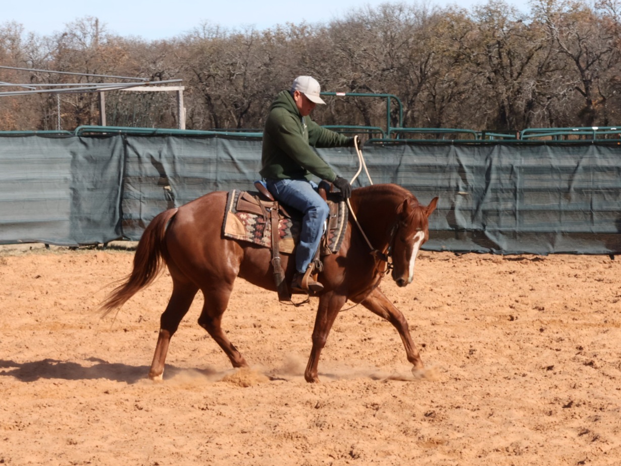 Teaching A Horse The "Cutter Turnaround" To Work A Cow