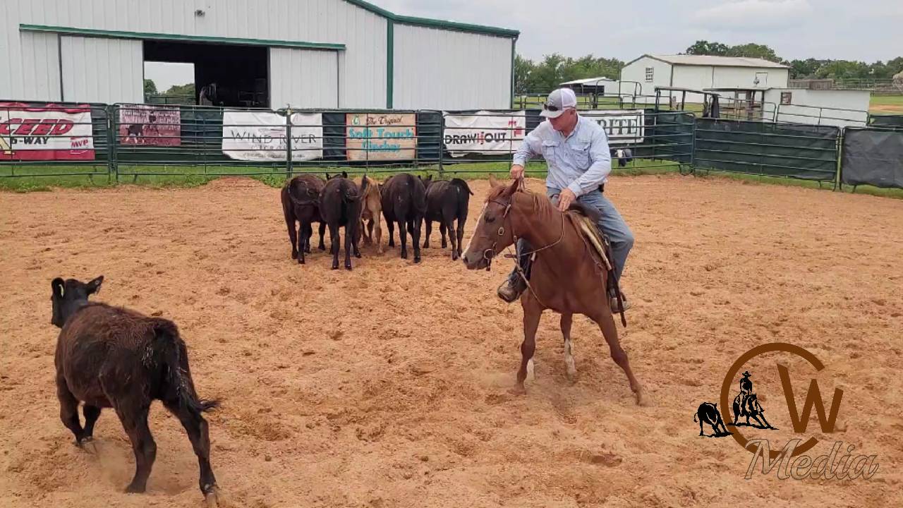 Starting A Two Year Old - Working Cattle Out Of The Herd