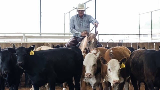 Ranch Cutting