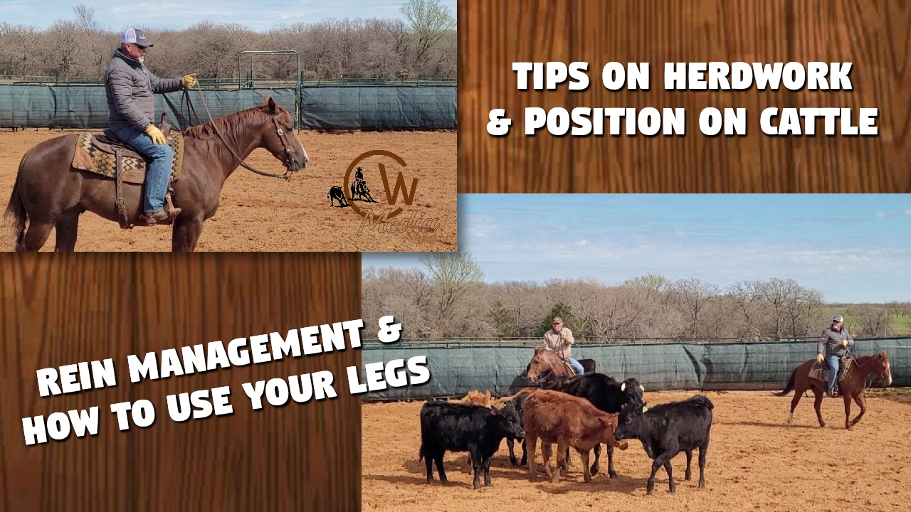 Tips On Rein Management, Using Your Legs & Herdwork For Cutting