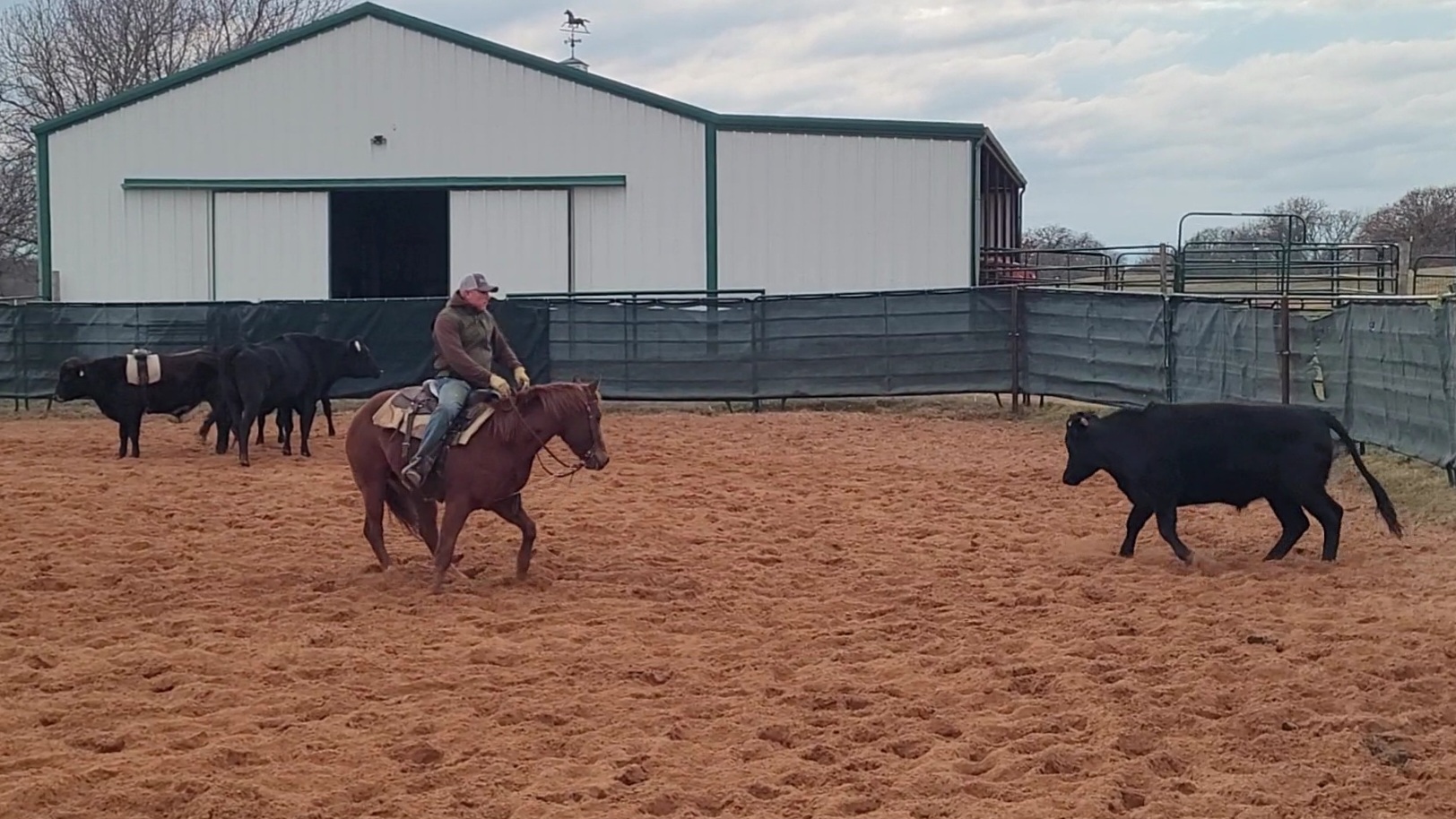 Starting A Two Year Old - First Video Of Her Three Year Old Year!