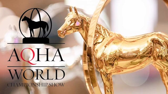 Countdown To The 2023 AQHA World Show!