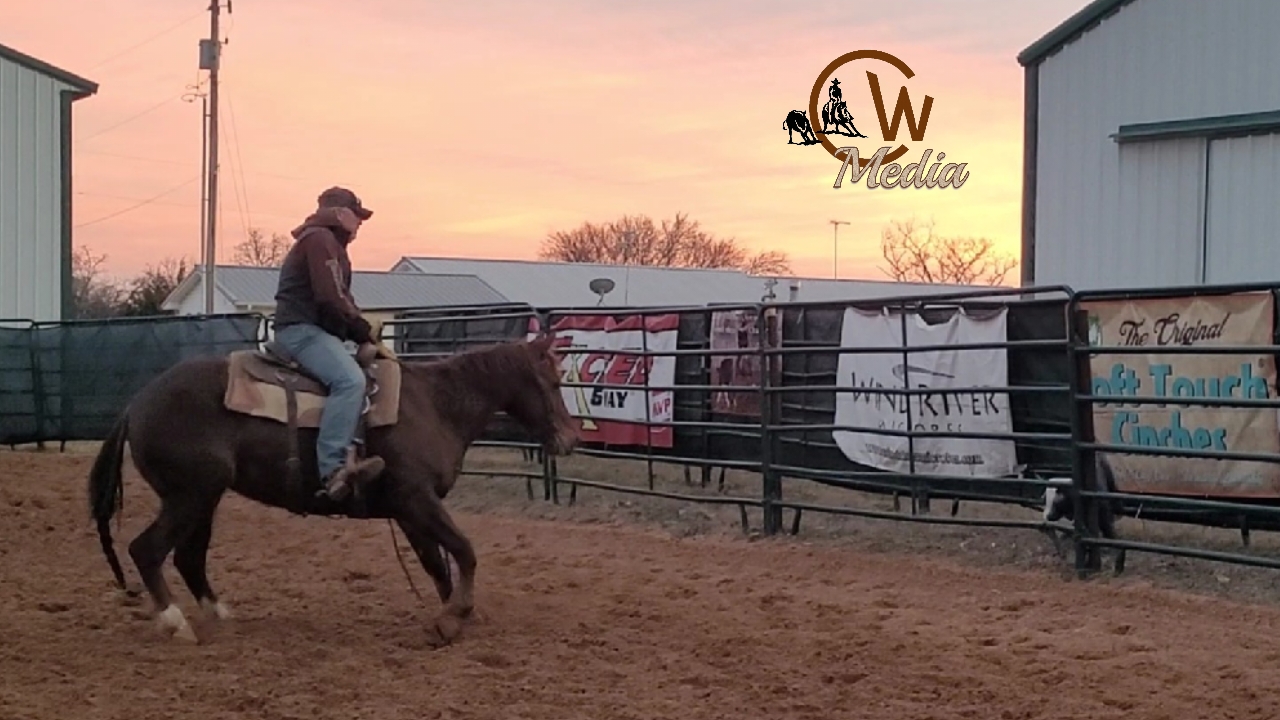 Dry Work & Mechanical Work For A Ranch Sorting Horse