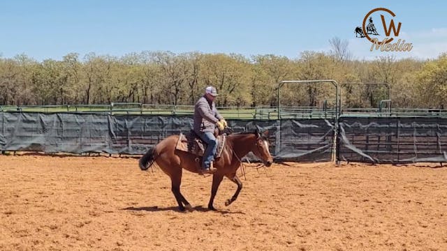 Speeding Up A Horses Spins