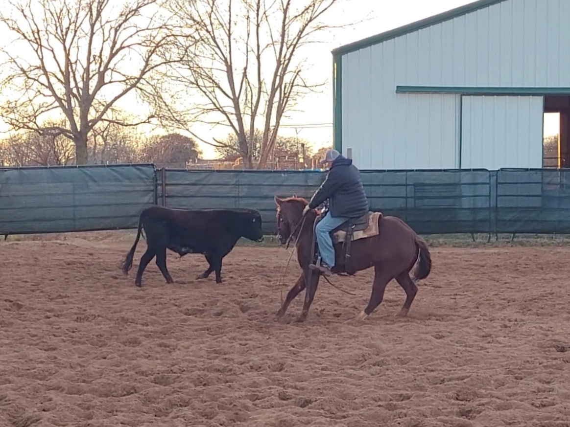Starting A Two Year Old - Video Advancing In Her Three Year Old Year!