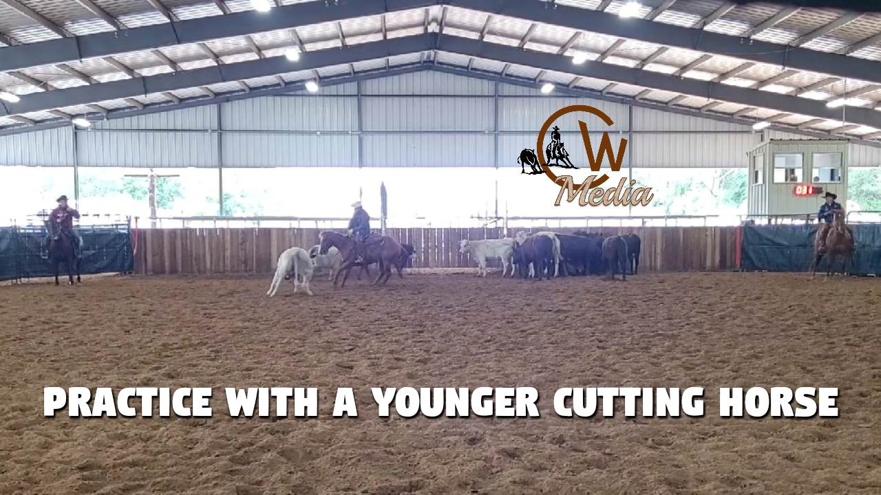Practice With A Younger Cutting Horse