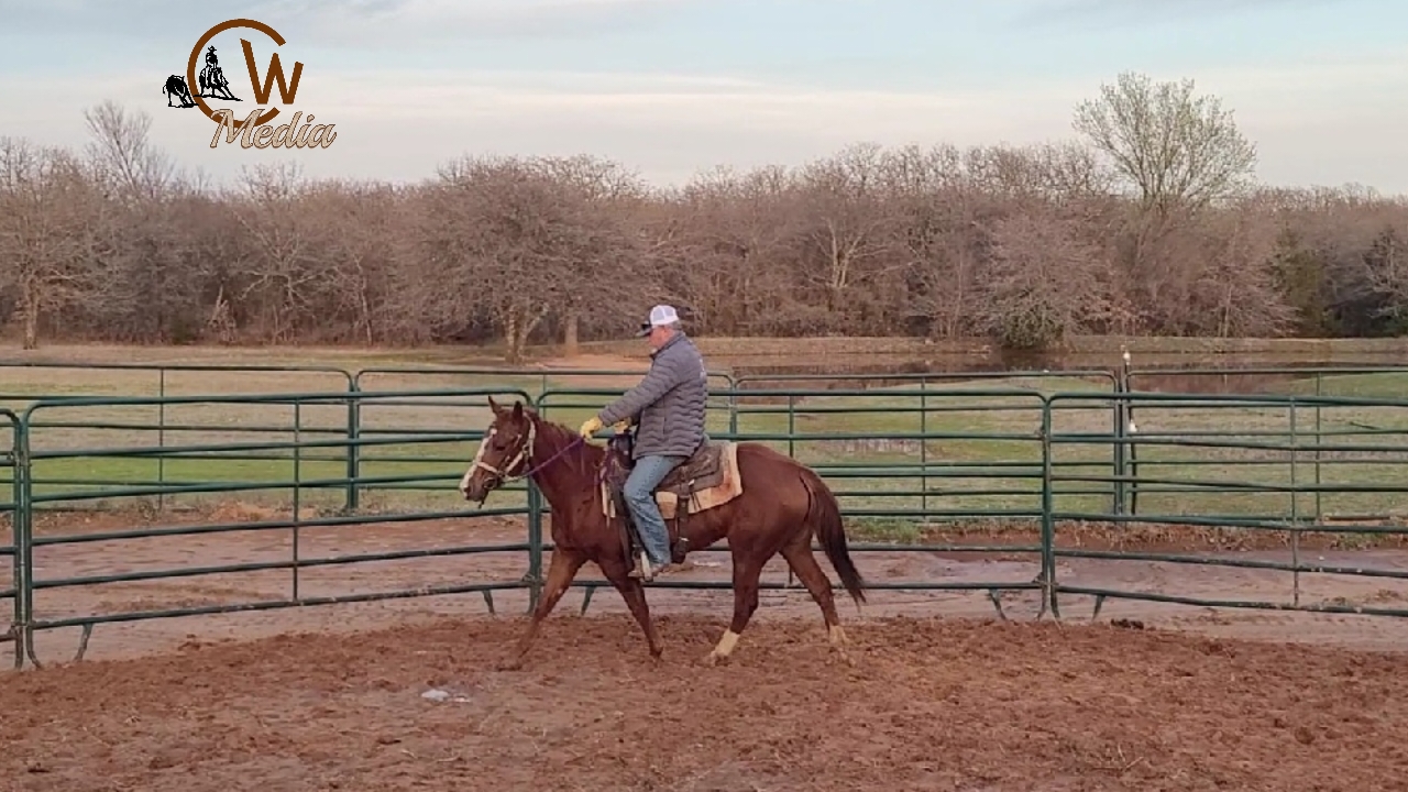 Starting A Two Year Old - Lateral Flexion & Riding