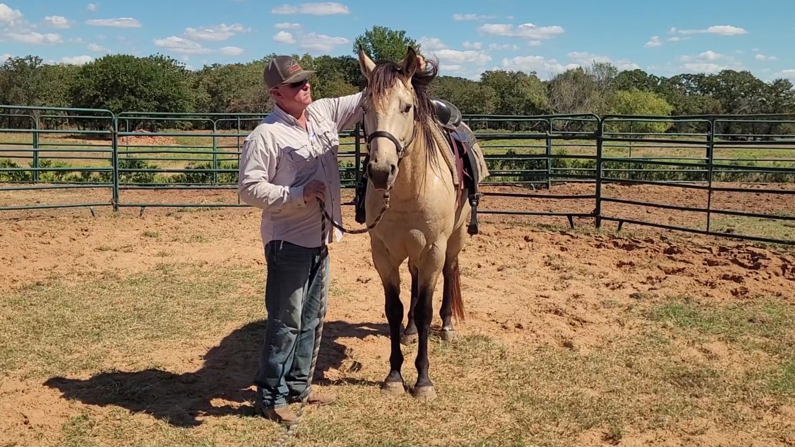 Restarting A Horse That Has An Unknown Level Of Training