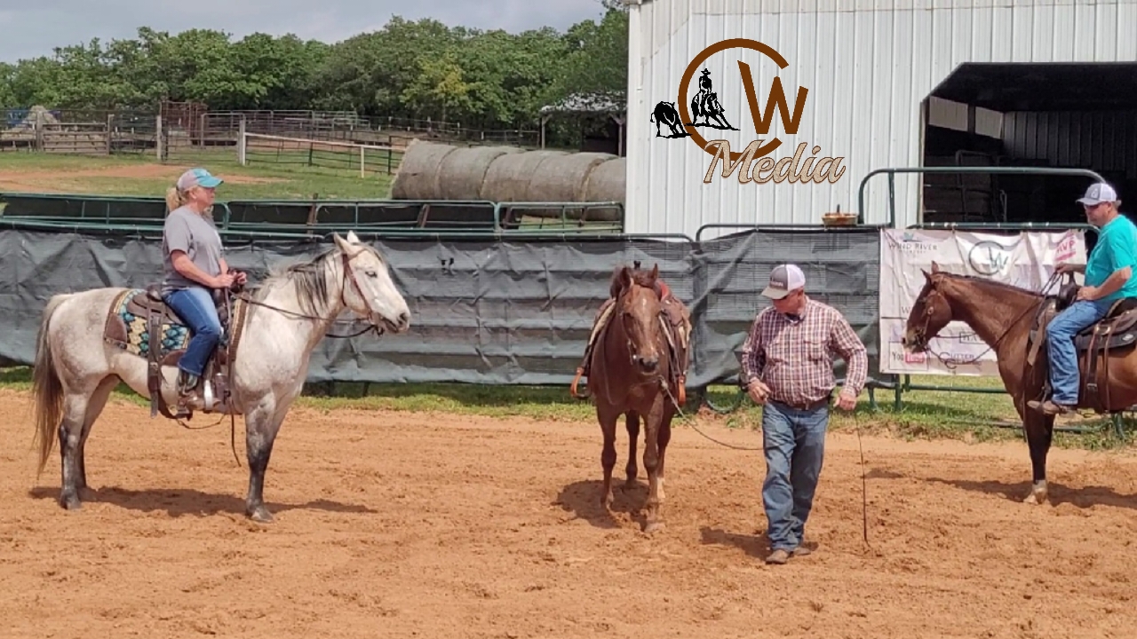 Being A Leader To Your Horse In The Saddle And On The Ground