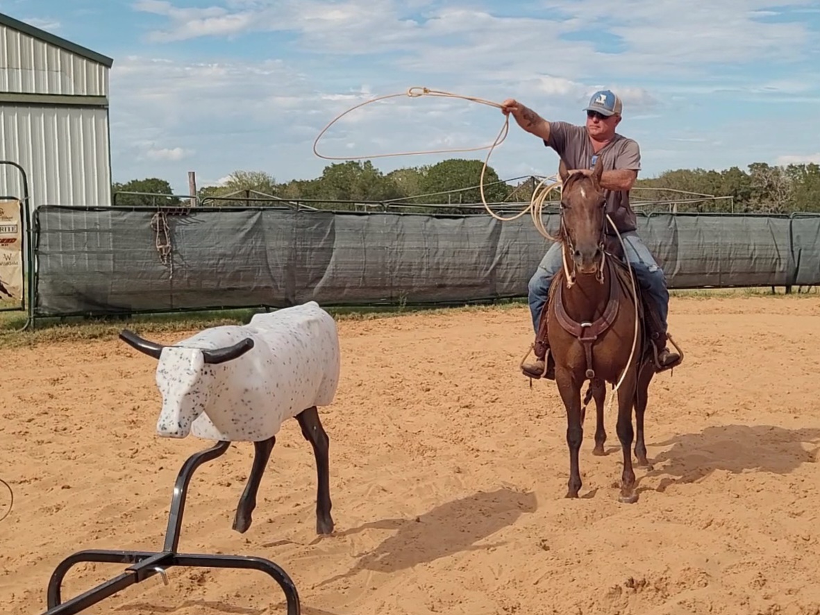 Working With A Nervous/Jittery Horse Roping