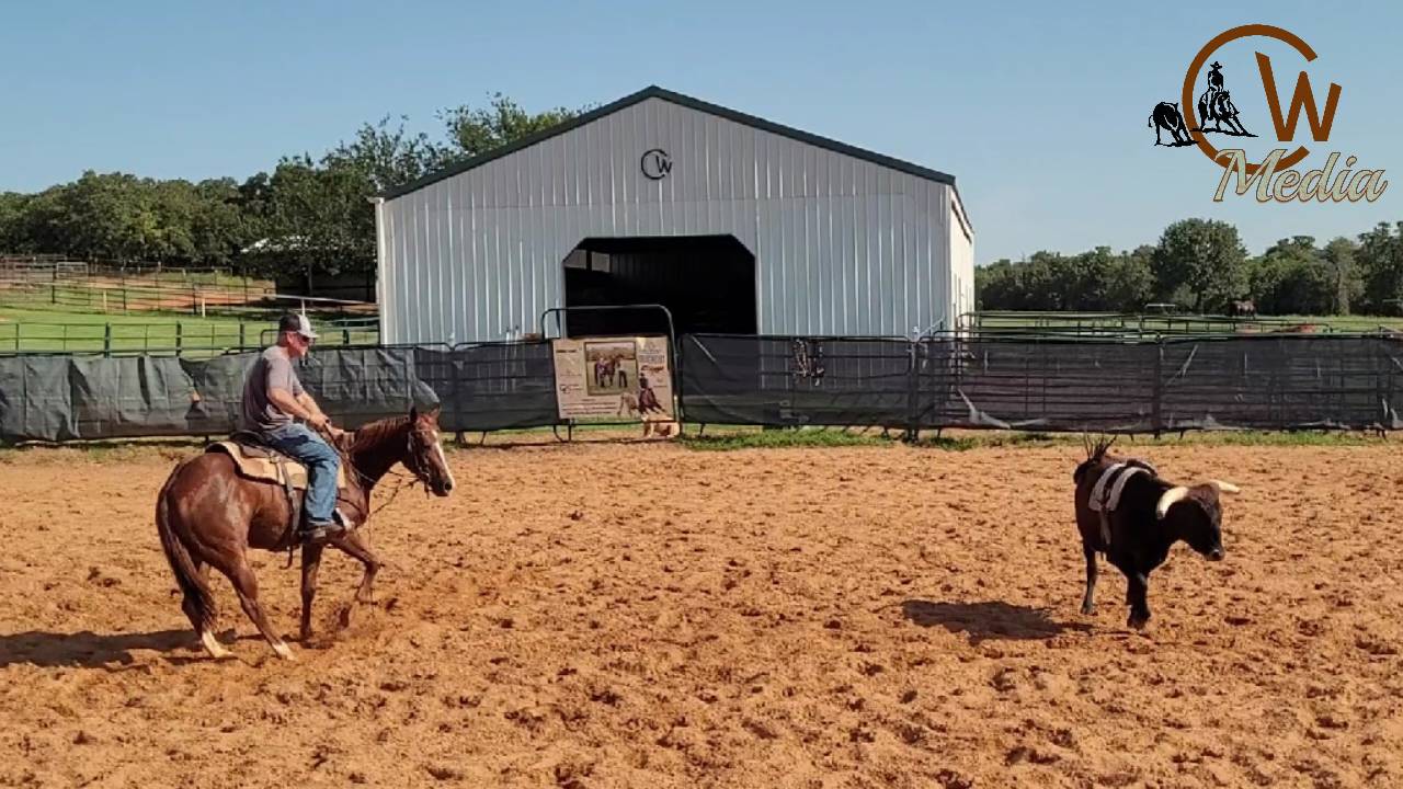 Starting A Two Year Old - Cutting Training & Using The Cattle Motivator 