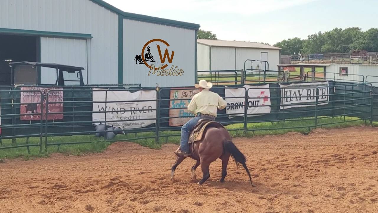 Working Ranch Sorting Horses On The Mechanical Cow 