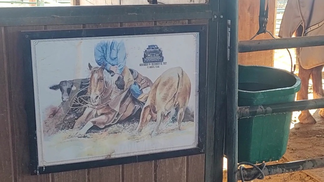 Winter Watering For Horses Made Easy!