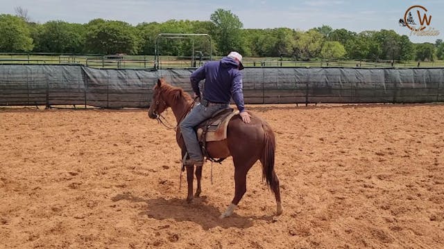 Starting A Two Year Old - First Ride ...