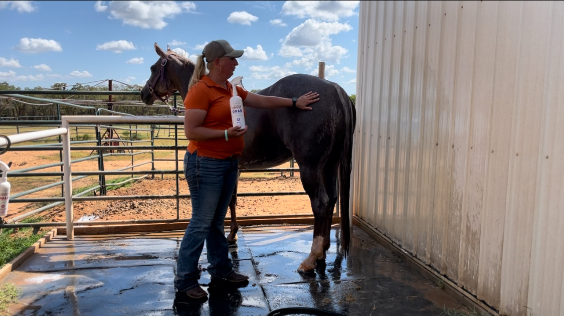Tips On Washing A Horse & Using The Bioveta Equine QUAD Grooming Kit