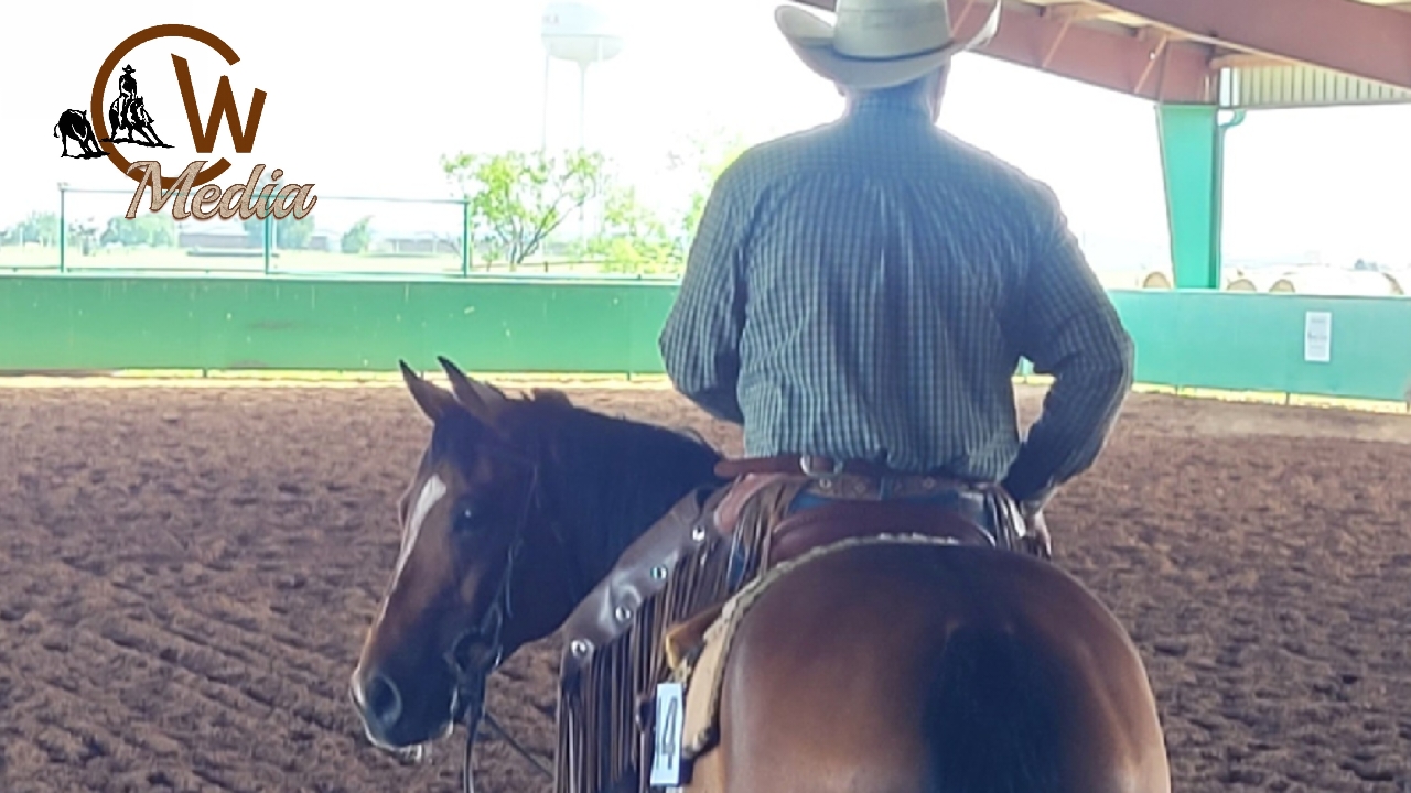 General Horsemanship Techniques