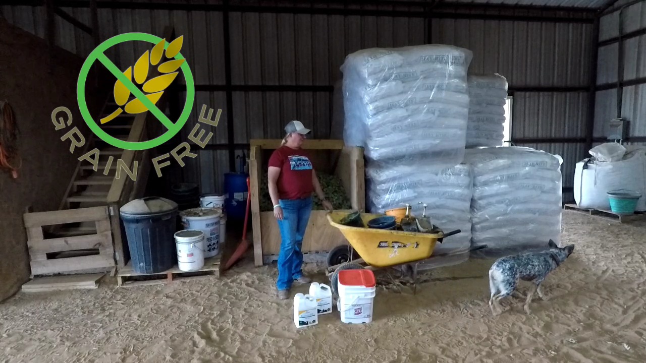 Learn More About Our Feeding Program - GRAIN FREE!