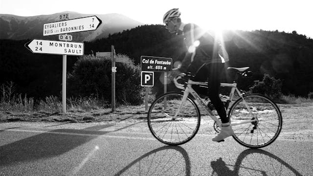 The Essential Road Cycling Survival Guide - An intro to road cycling