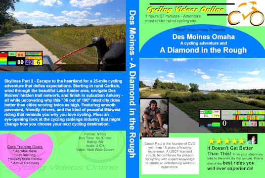 American Skylines Des Moines -Diamond in the Rough