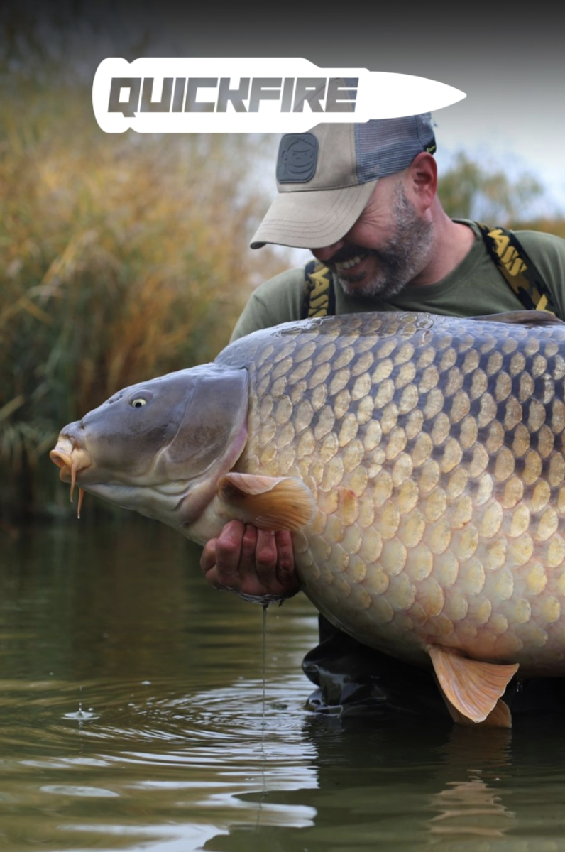 Dave Levy | Quickfire