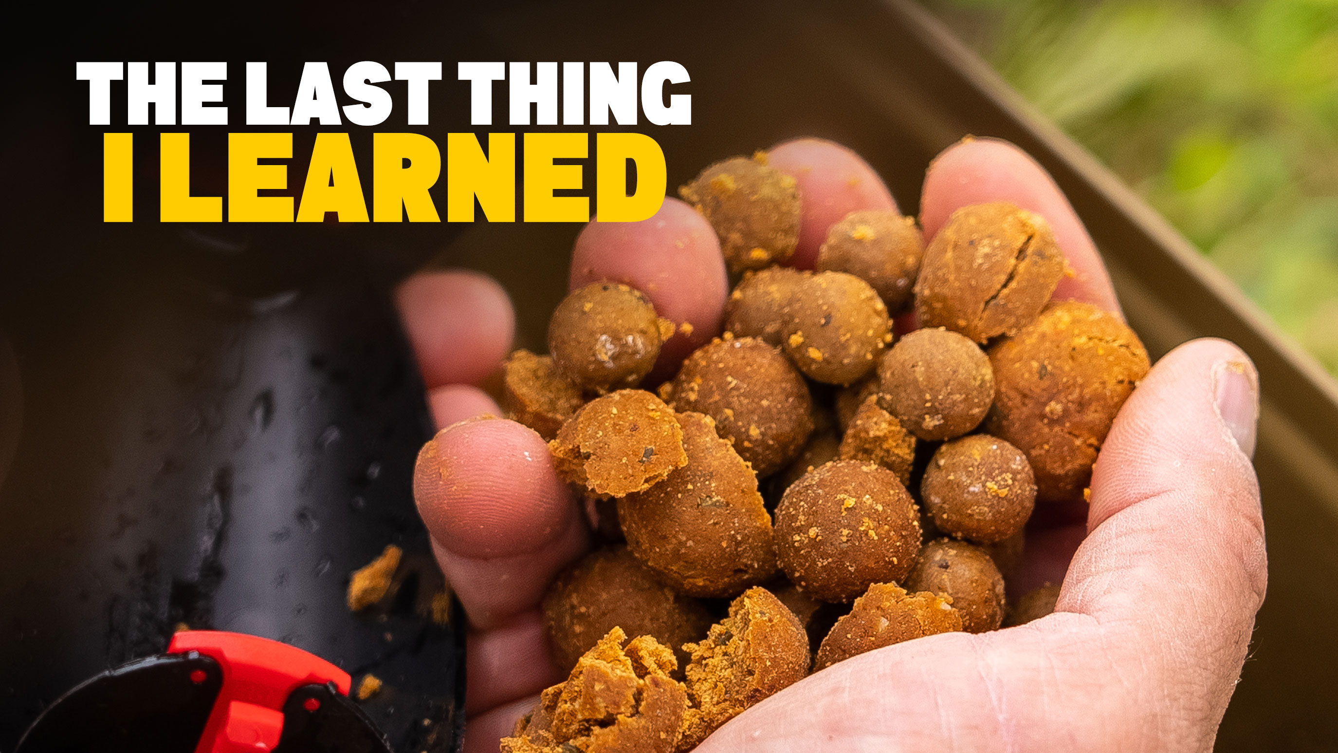 The Last Thing I Learned | Luke Stevenson