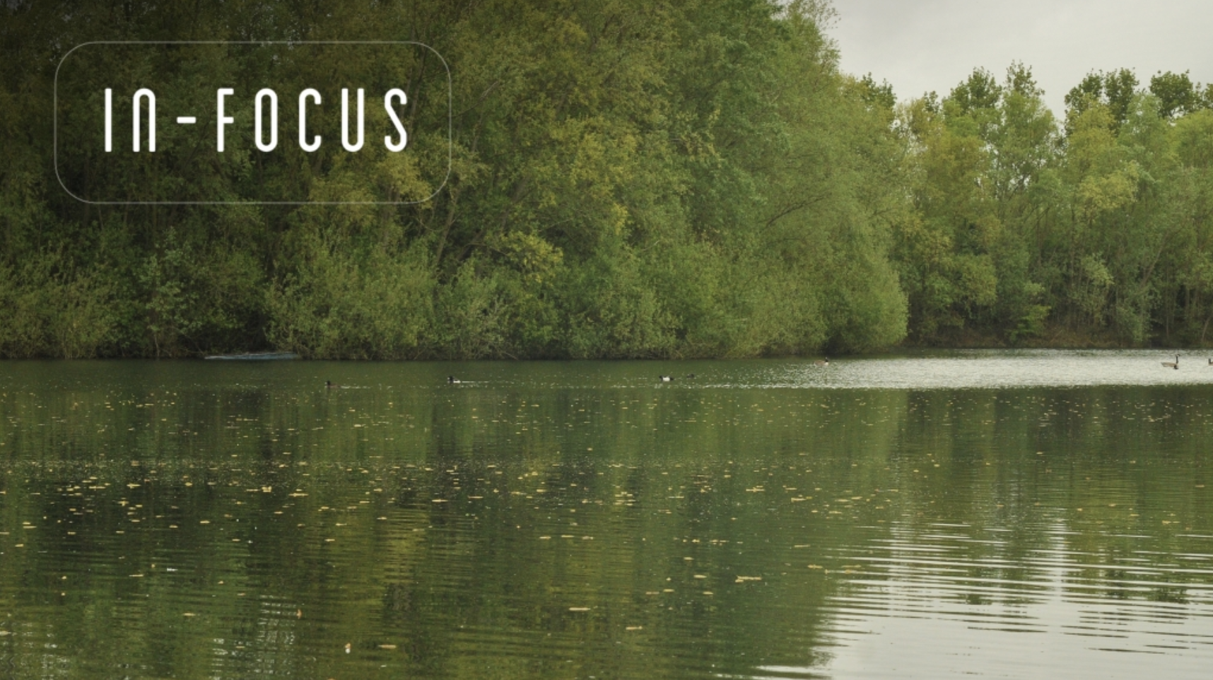 Fishing to Islands |  Dave Levy | In-Focus