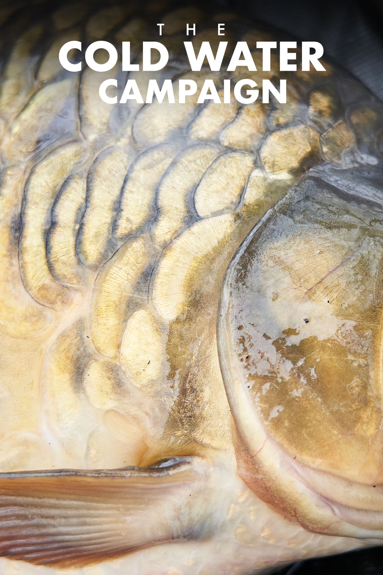 Last Chance Saloon | Elliott Gray | S1:Ep.3