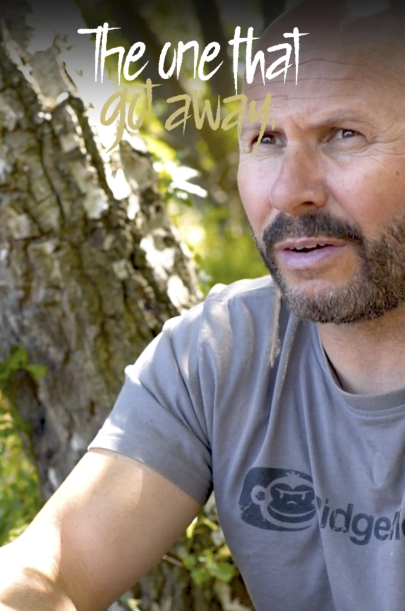 Dave Levy | The One That Got Away