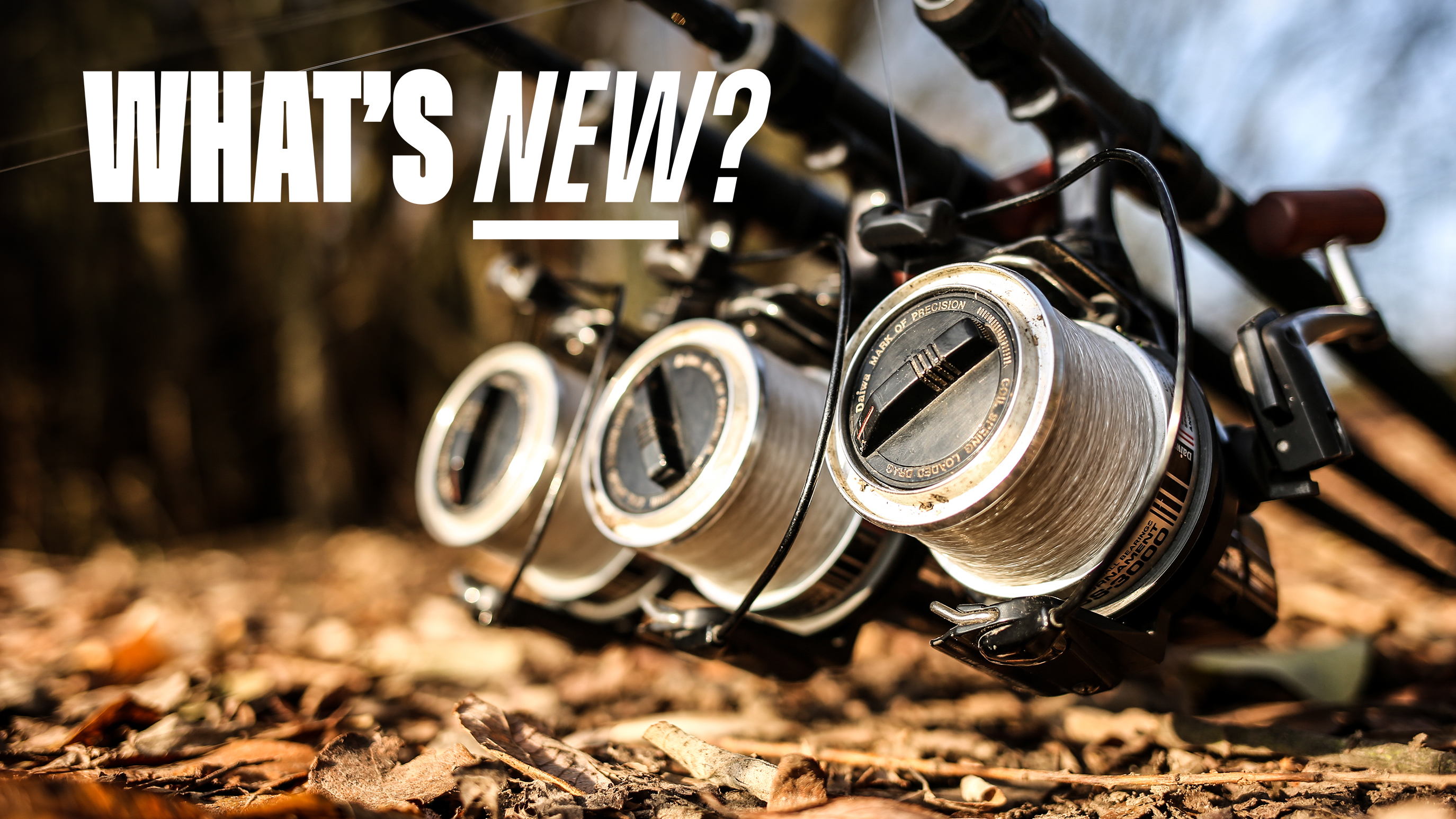 Korda Kontour | What's New?