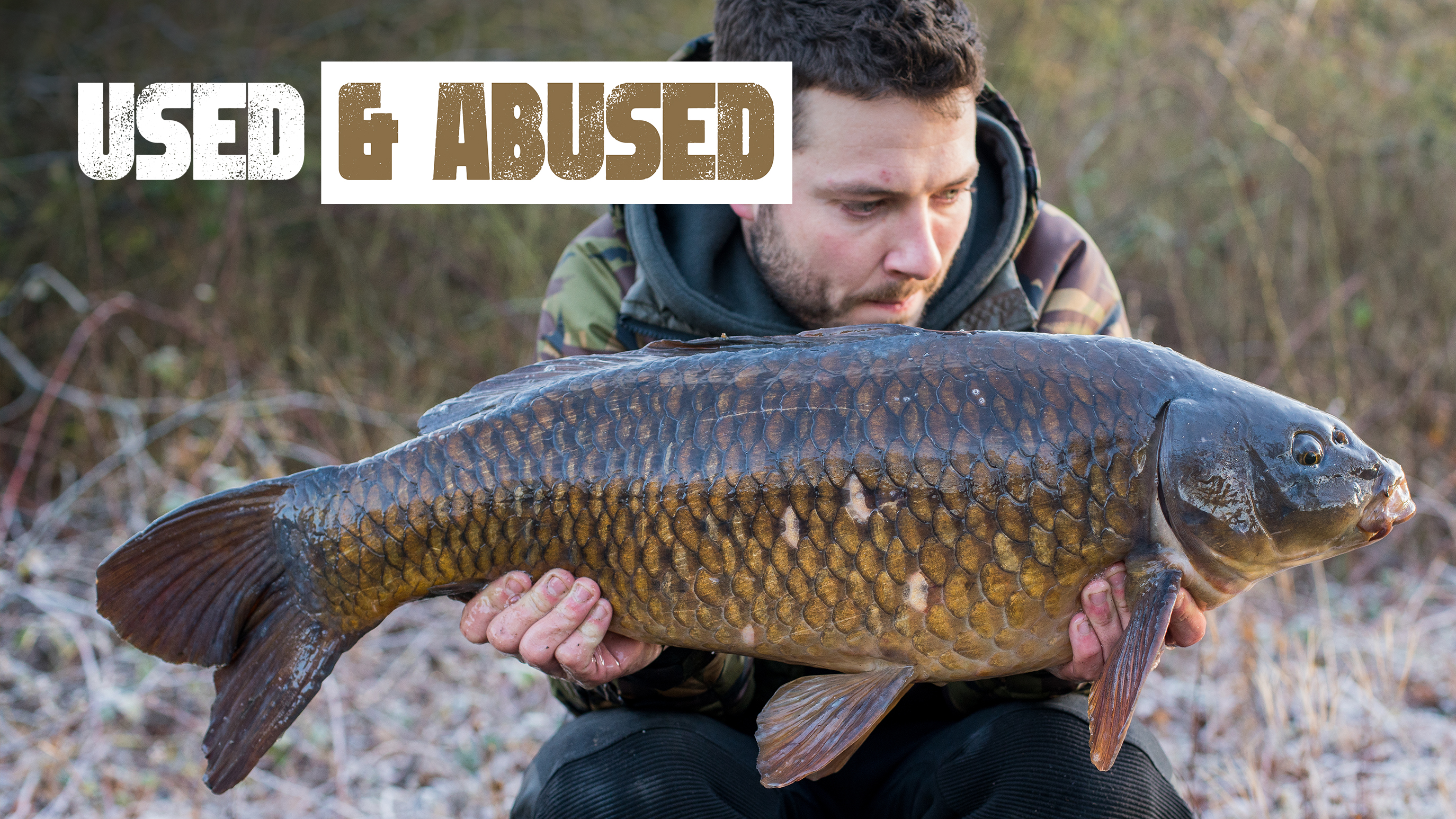 Fortis FJ6 | Used & Abused