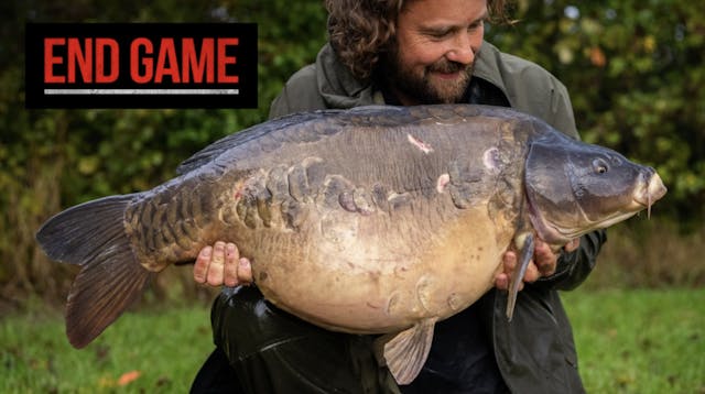 Big Carp Massacre | Luke Stevenson | ...