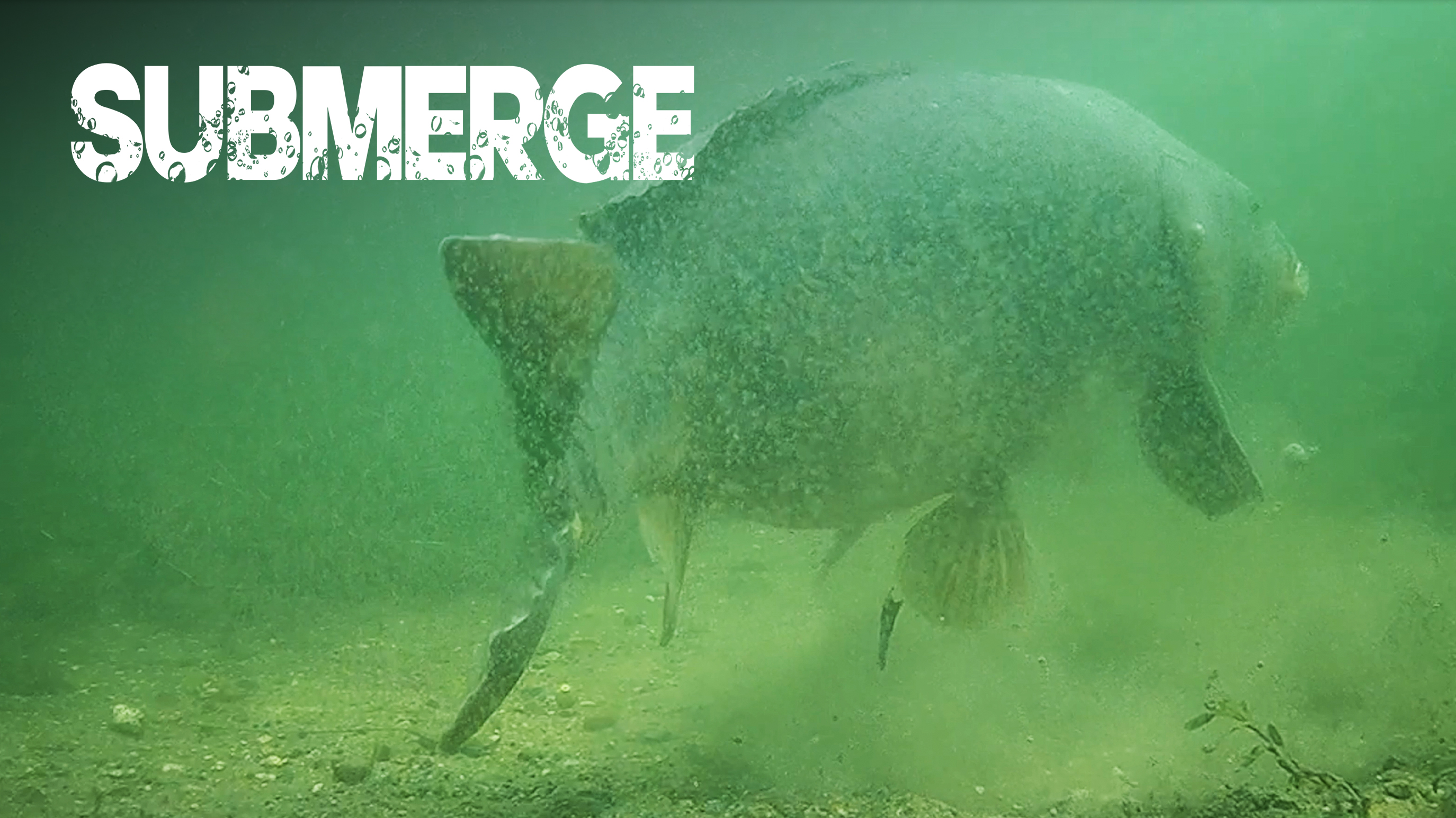 A New Chapter | Elliott Gray | C1: Ep.1