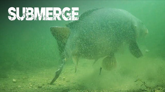 A New Chapter | Elliott Gray | C1: Ep.1