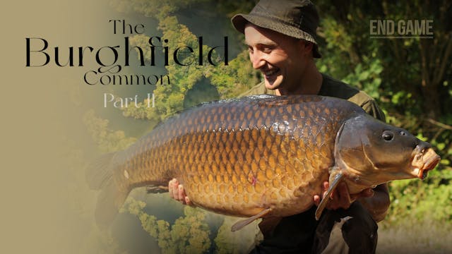 The Burghfield Common II | Tom Stokes...