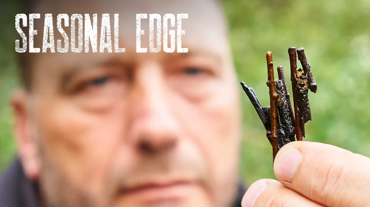 Springy Jon Spring | Jon McAllister | Seasonal Edge - Seasonal Edge - CYPOGRAPHY