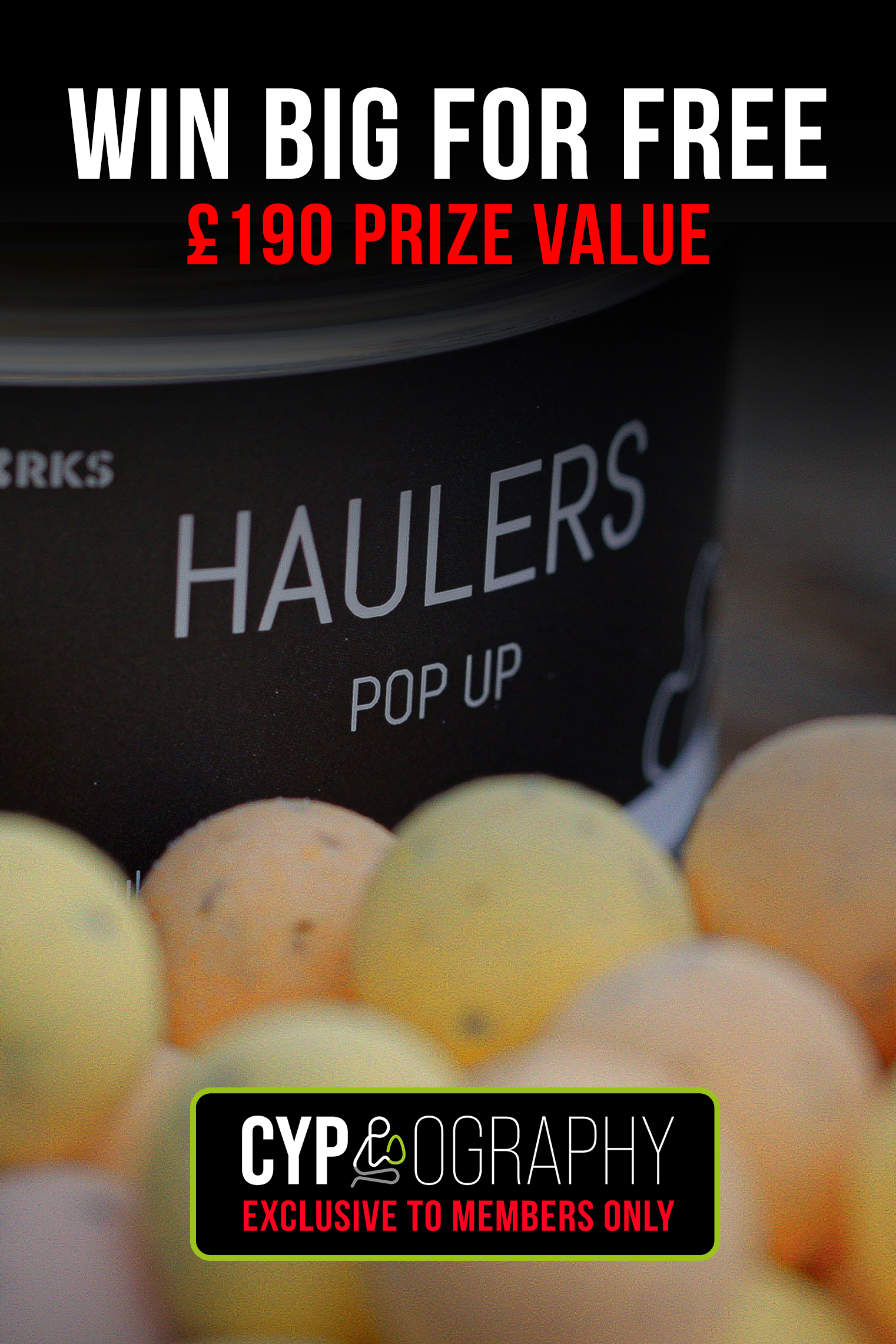 Baitworks Hauler Hookbaits | March 2026