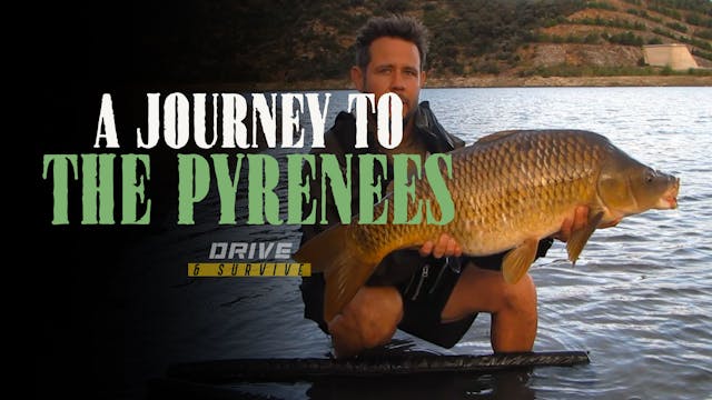A Journey To The Pyrenees | John Timm...