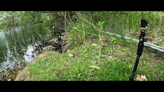 Record Breaker | Elliott Gray | Serie...