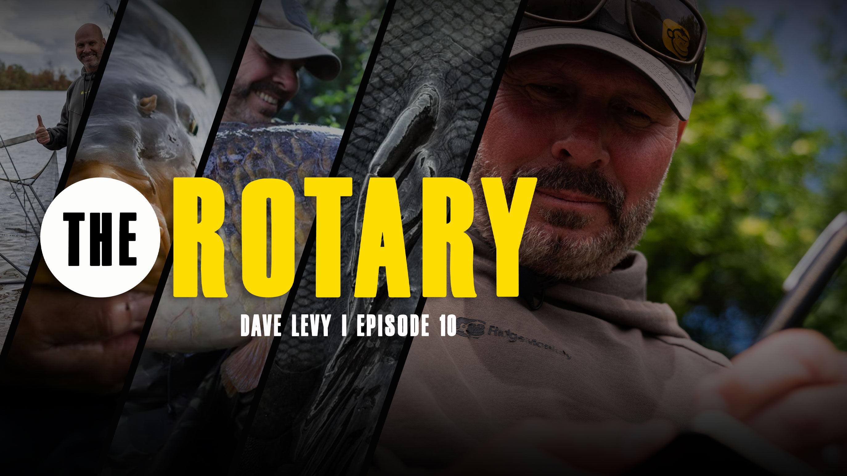 Dave Levy | The Rotary | S1: Ep.10