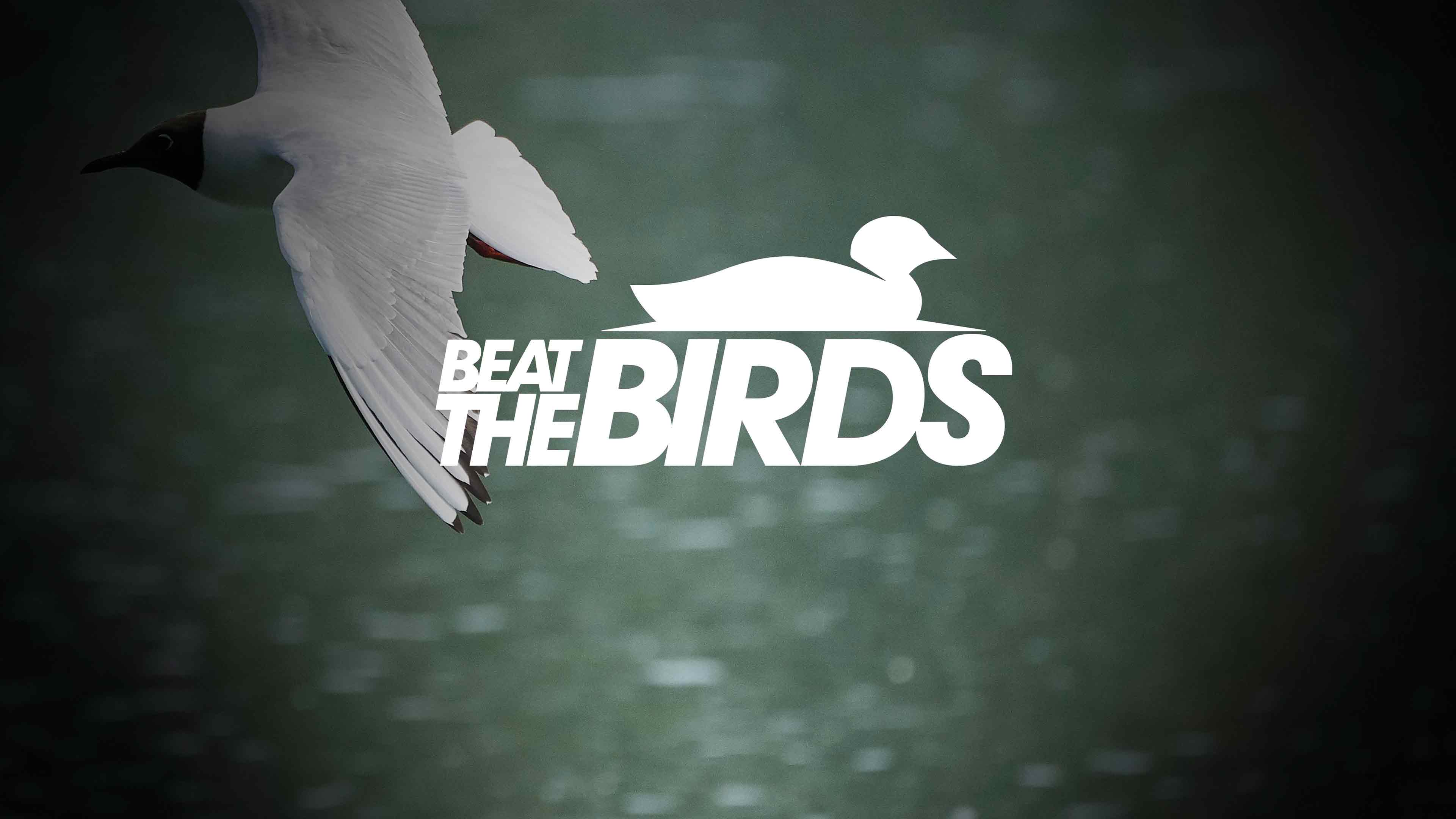 Beat The Birds