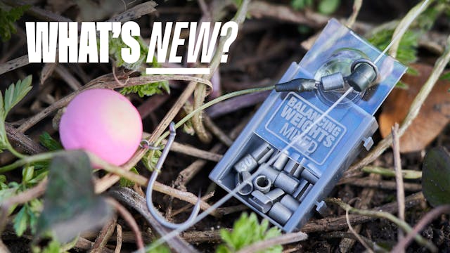 Korda Balancing Weights | What's New?