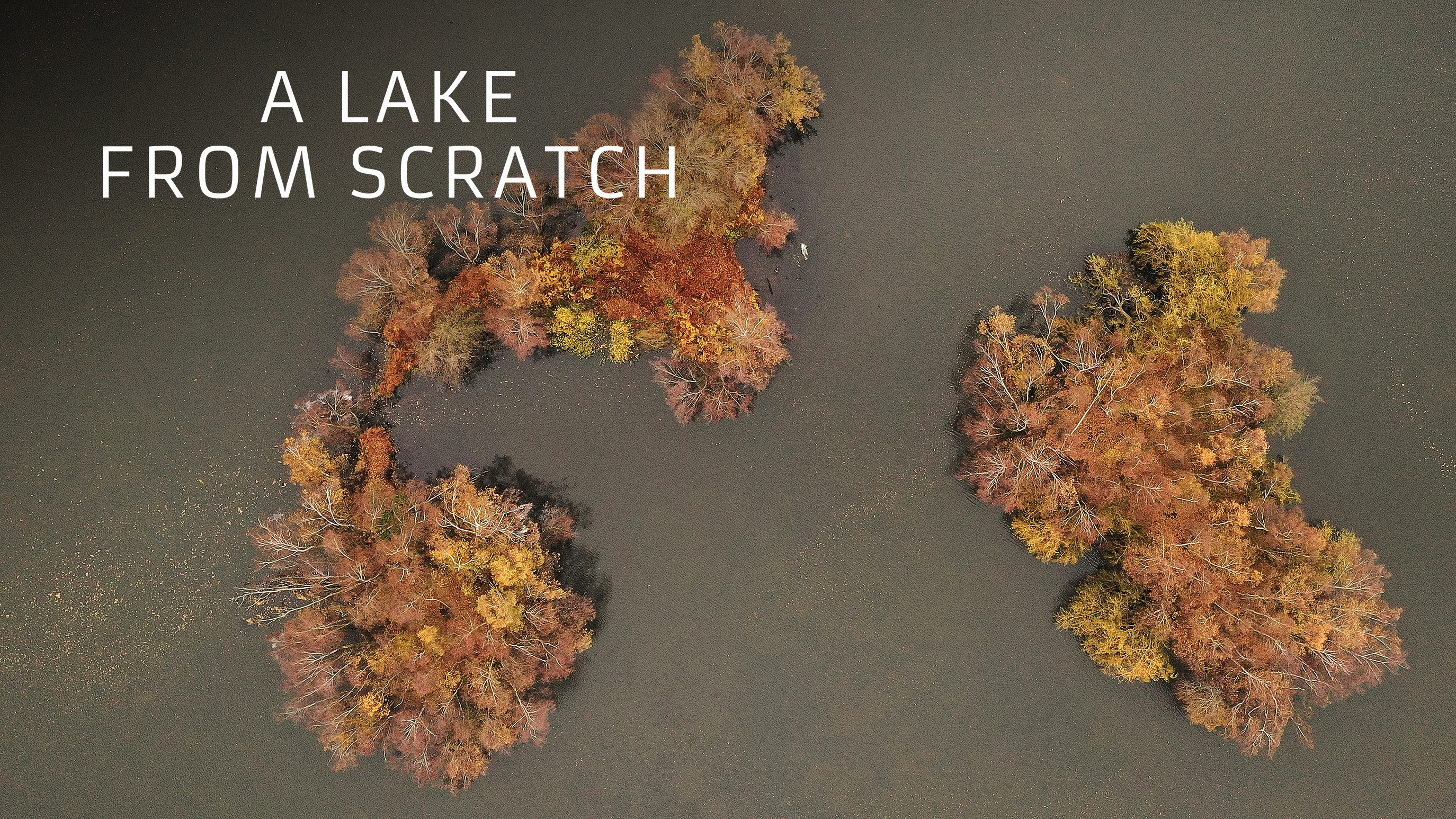 Wind Lanes & Feeding | Embryo Angling | S1: Ep.2