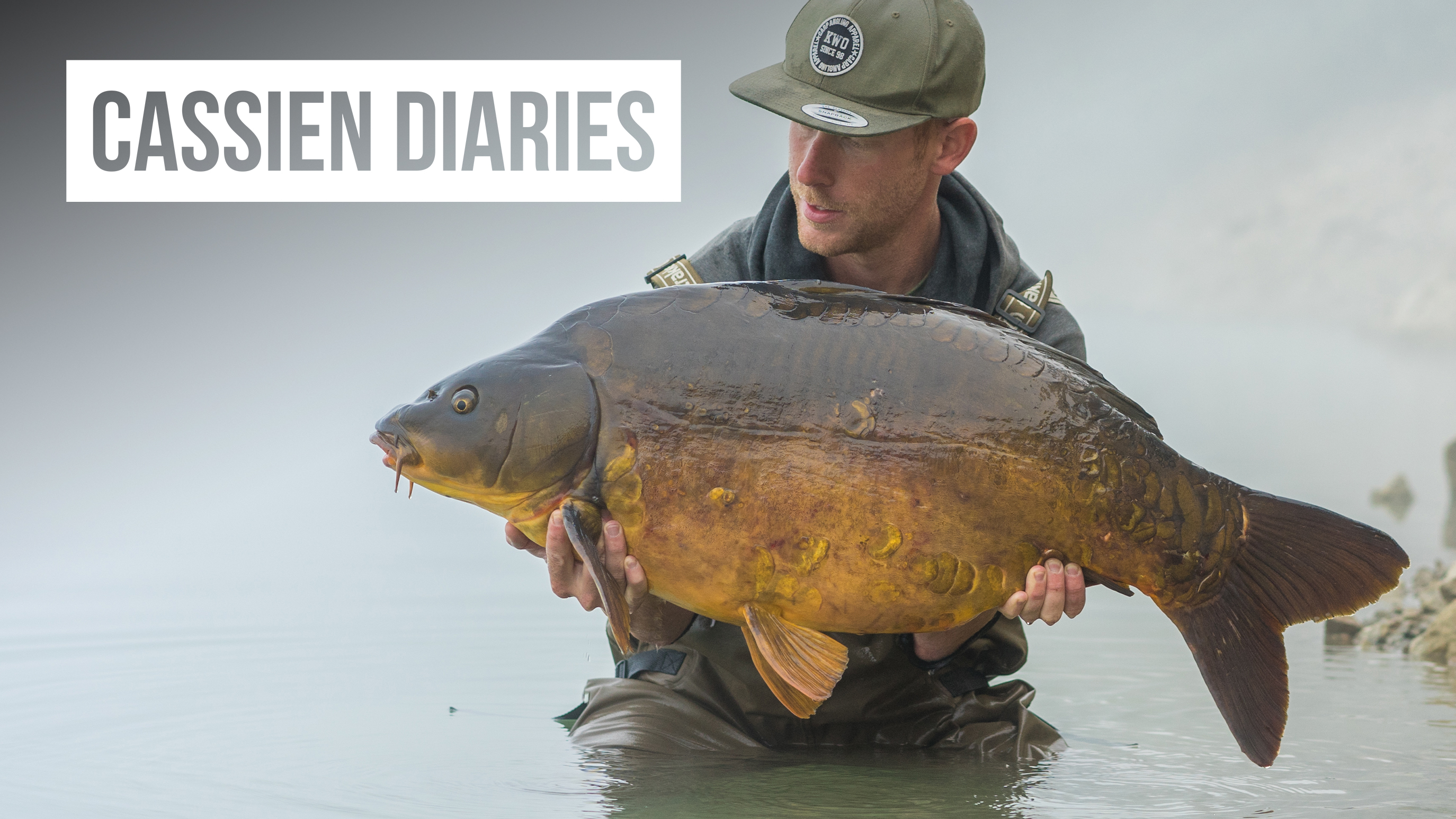 Bridging The Gap | Mark Hofman | S1: Ep.4