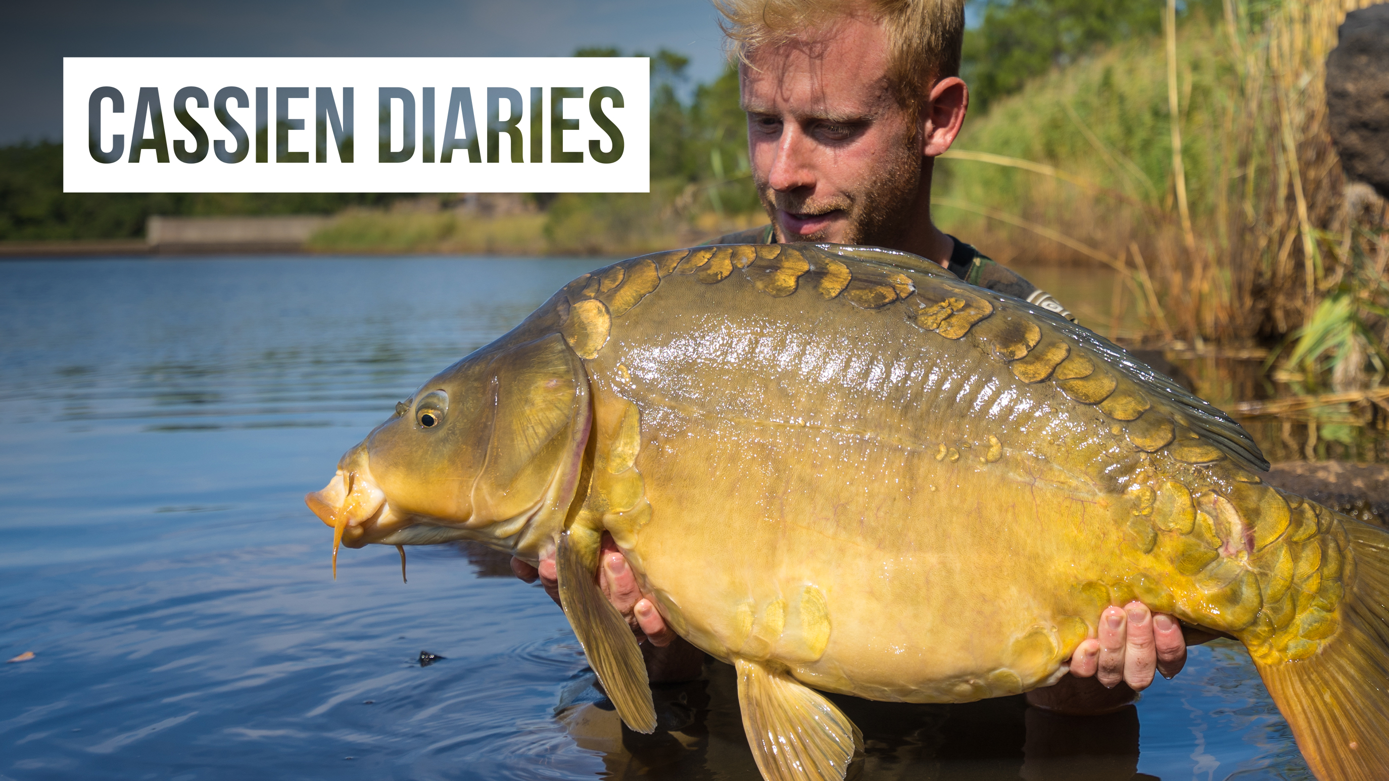 The Baiting Game | Mark Hofman | S1: Ep.2