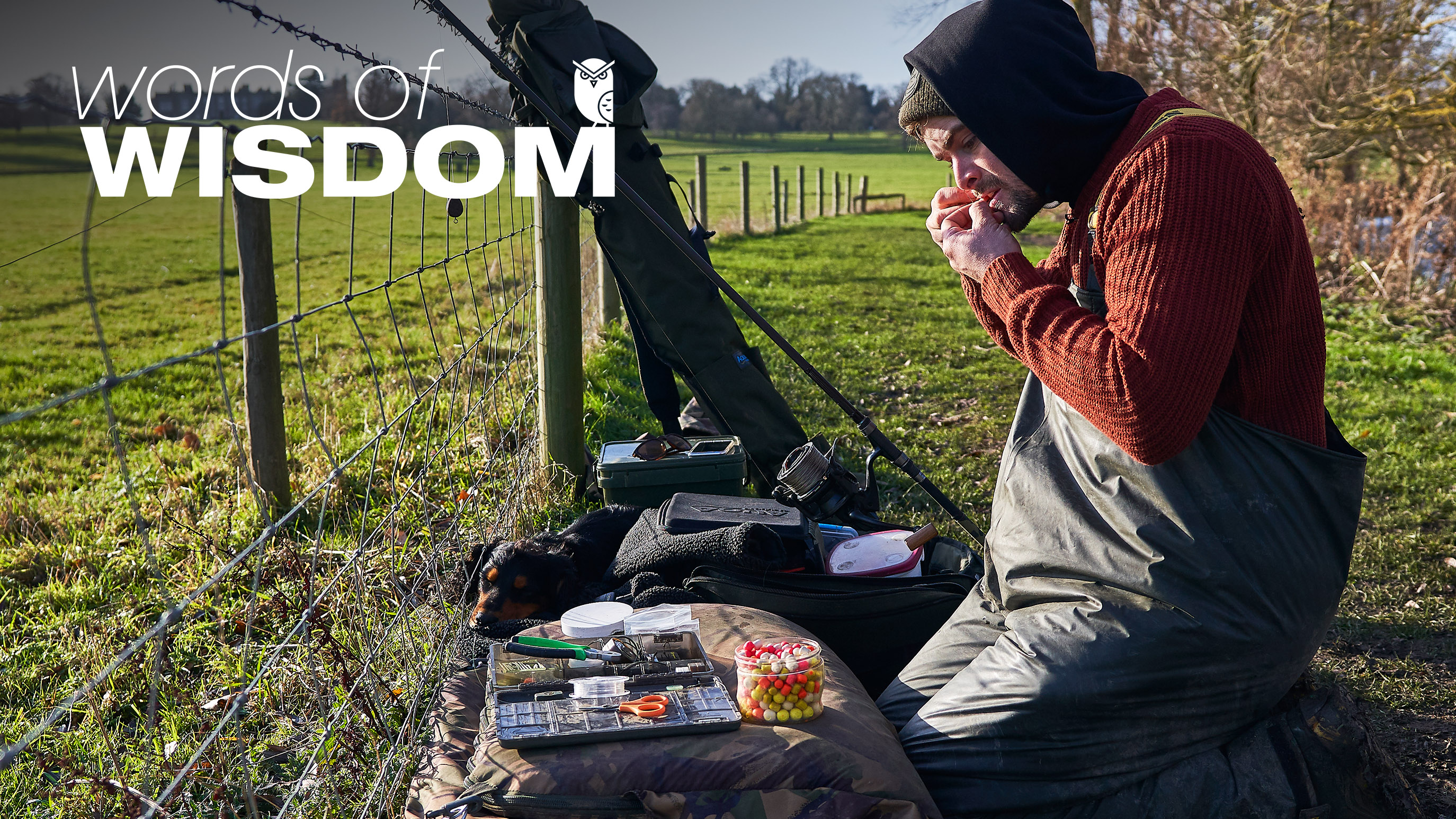 James Armstrong | Words of Wisdom