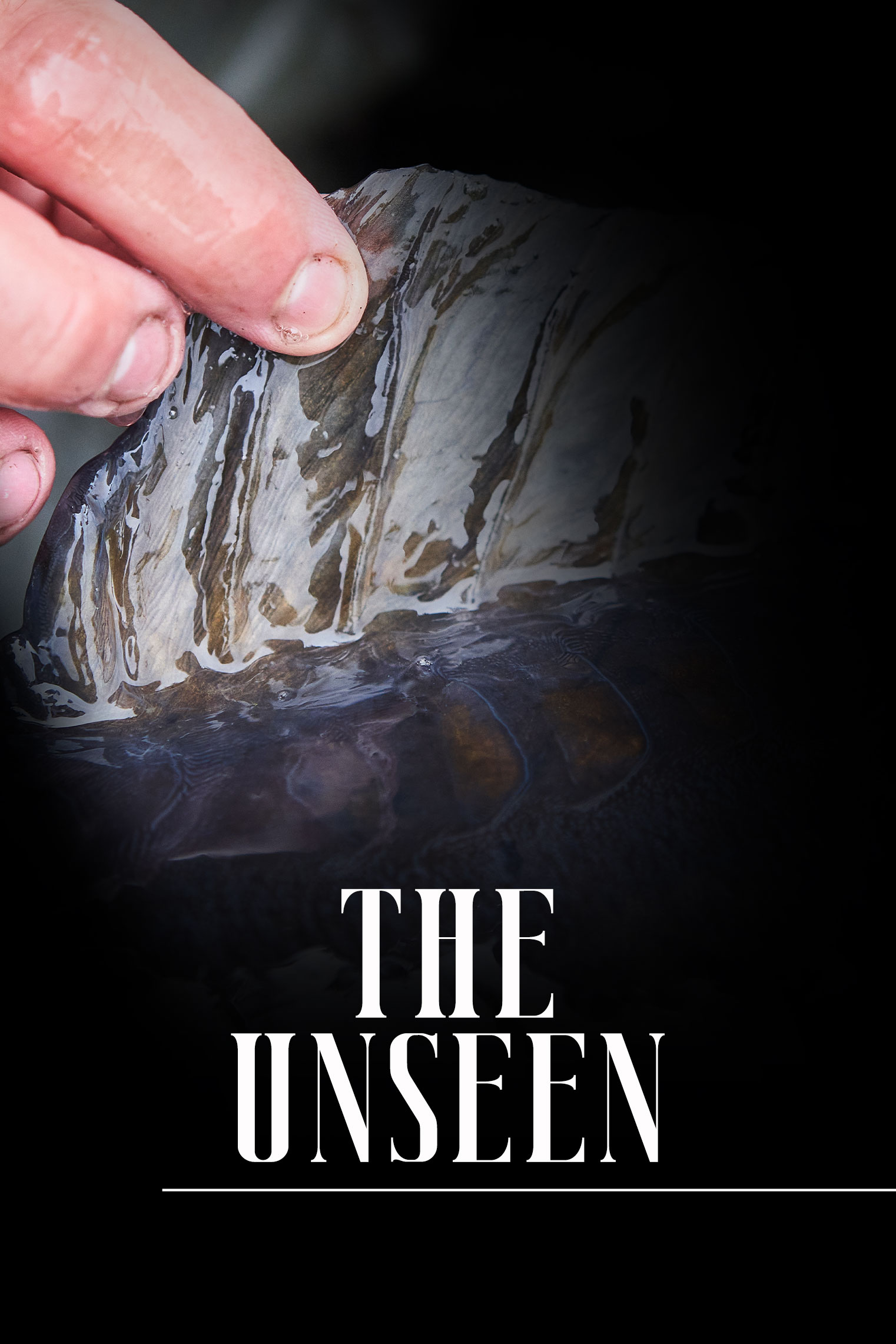 The Unseen