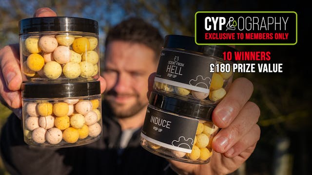 Baitworks Pastel Hookbaits | January ...