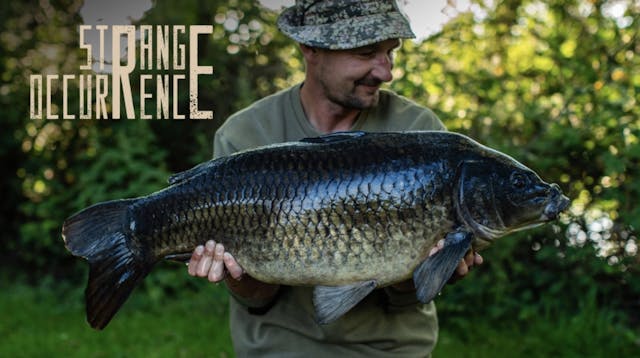 Oli Davies | Strange Occurrence 